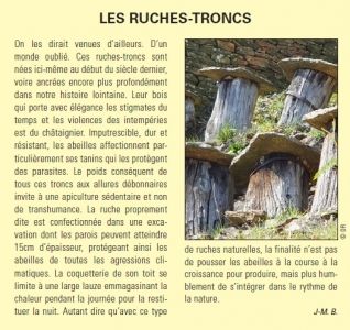 Abeilles - Ruches troncs J-M. Bayle