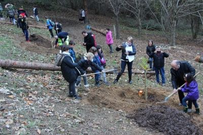Arboretum G. Descours 2