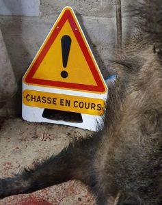 Chasse 01 Copyright J-M. BAYLE