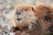 Photo Des réserves pour mieux observer la nature
