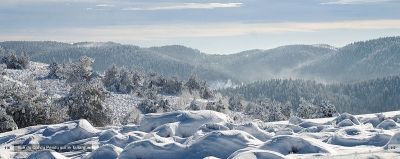 En-Ardèche-Le-Tanargue-59_xlarge