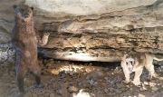 Photo Les Grottes de Soyons