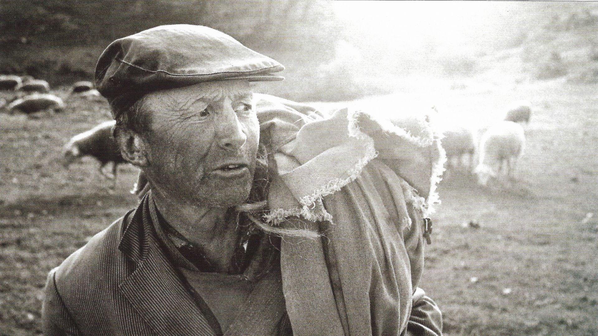 Images des Cévennes - Helmut Krackenberger