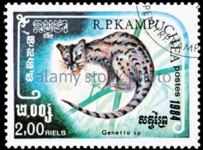 Timbre poste du Cambodge (1984). On trouve aussi des genettes en Asie
