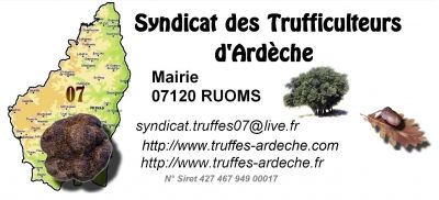 Truffe CV